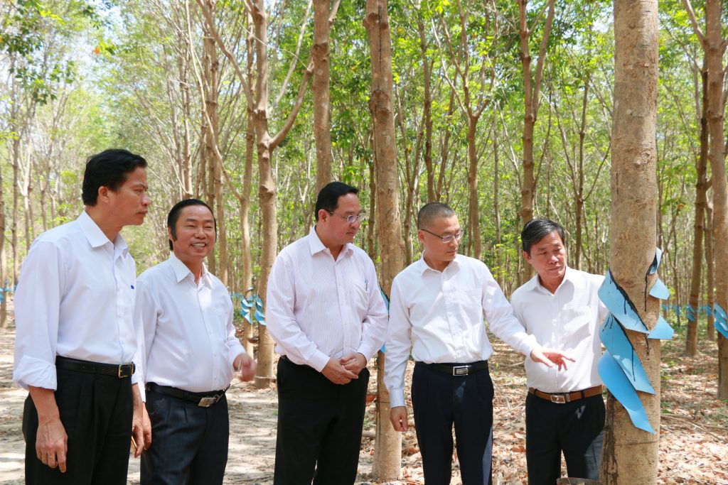 Màu xanh cao su tô thắm tình hữu nghị keo sơn Kỳ 2: Cao su đã thay đổi diện mạo nông thôn Campuchia